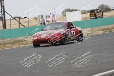 media/Jun-01-2025-CalClub SCCA (Sun) [[eae223c5dd]]/Group 5/Race (Front Straight)/